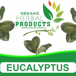 Eucalyptus Oil 2.5l